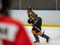 DSC02897-1500