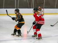 DSC02916-1500