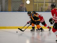 DSC02918-1500