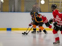 DSC02919-1500
