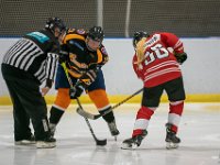 DSC02928-1500