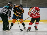 DSC02929-1500