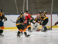 DSC02930-1500
