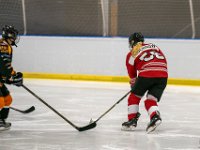 DSC02942-1500