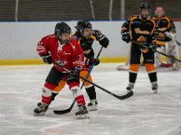 DSC02944-1500