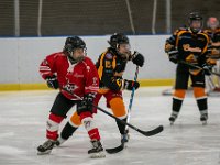 DSC02945-1500