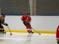 DSC02947-1500