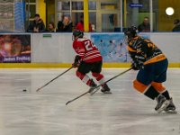 DSC02959-1500