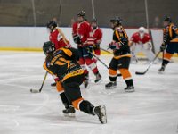 DSC02962-1500