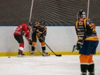 DSC02989-1500