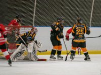 DSC02997-1500