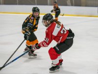 DSC03043-1500