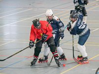DSC08560-1500