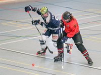 DSC08573-1500