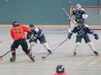 DSC08715-1500