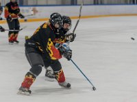 048  A1 0377-topaz-denoise-sharpen 1600