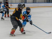 049  A1 0379-topaz-denoise-sharpen 1600