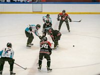 DSC6990-1500