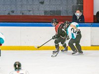 DSC7007-1500