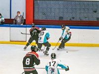 DSC7010-1500