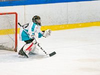 DSC7031-1500