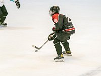 DSC7036-1500