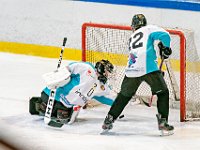 DSC7235-1500