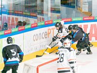 DSC07463-1500
