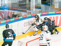 DSC07464-1500