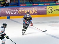 DSC07474-1500