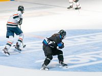DSC07481-1500