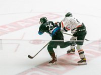 DSC07501-1500
