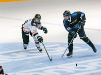 DSC07512-1500
