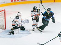 DSC07531-1500