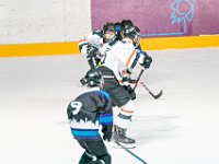 DSC07553-1500
