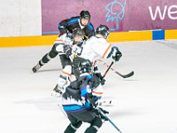 DSC07554-1500