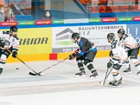 DSC07555-1500