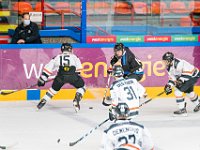 DSC07556-1500