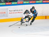 DSC07564-1500