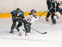 DSC07566-1500