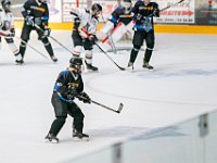 DSC07579-1500