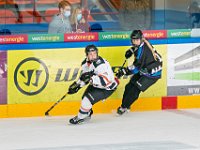 DSC07584-1500