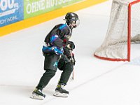 DSC07588-1500