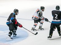 DSC07593-1500