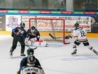 DSC07603-1500
