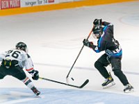 DSC07610-1500