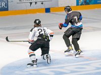 DSC07613-1500