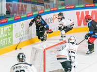 DSC07634-1500