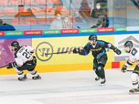 DSC07639-1500