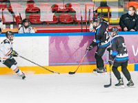 DSC07643-1500